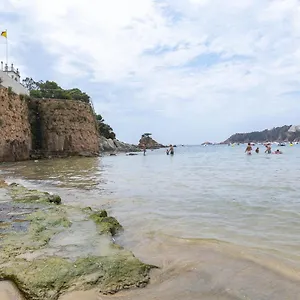 Ridaura Center España