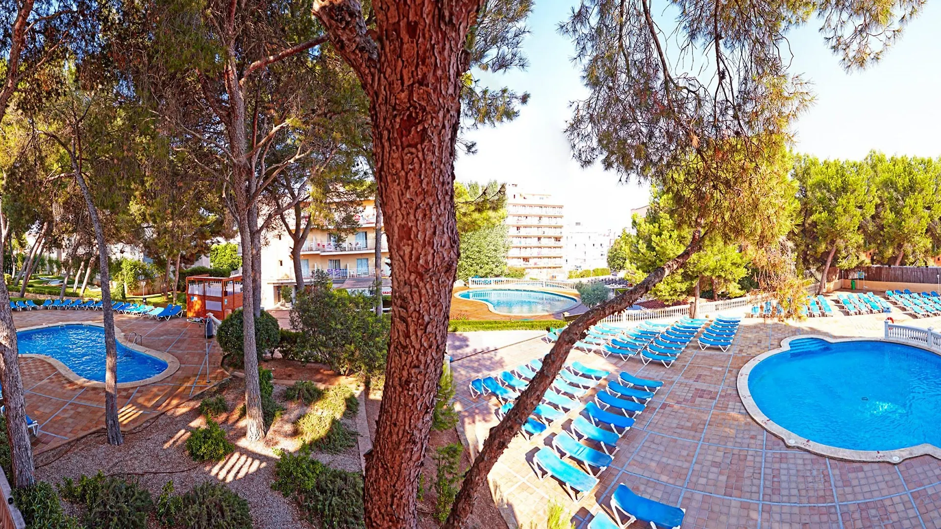 ***  Mll Palma Bay Club Resort El Arenal  Spain