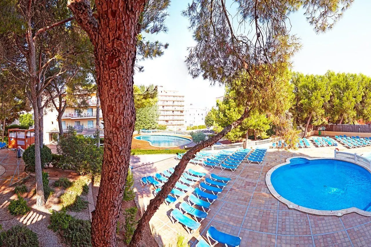 Mll Palma Bay Club Resort El Arenal  Spain