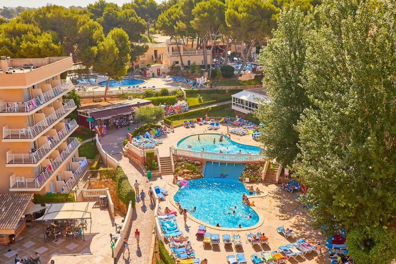 Mll Palma Bay Club Resort location
