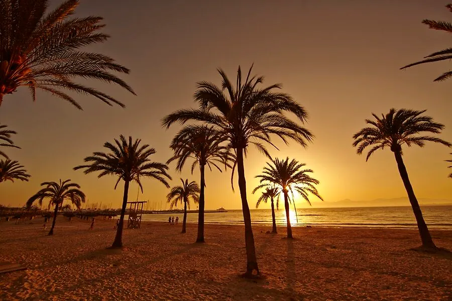 Mll Palma Bay Club Resort El Arenal