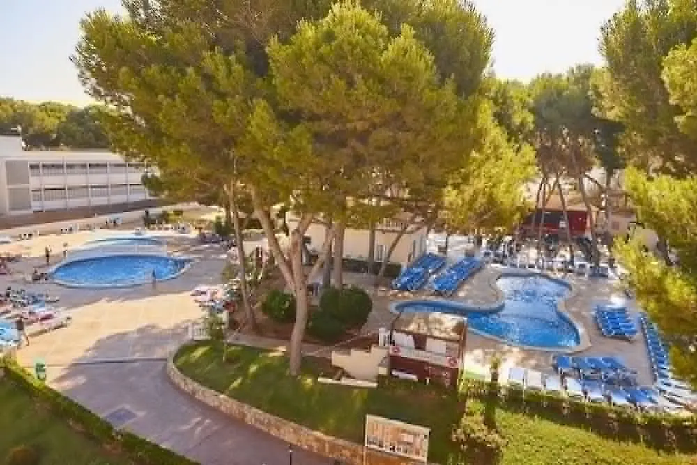 Mll Palma Bay Club Resort El Arenal